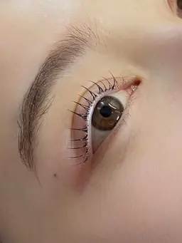 上まつげパーマ + ティント(マスカラパーマ)