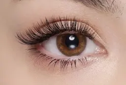 【LED】バインド(ダブルフラット)60束