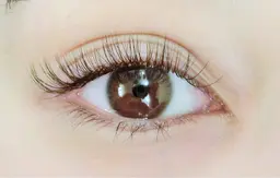 3Dボリュームラッシュ100束❣️他店オフ込☺️根本の濃さも出てアイライン効果あり✨✨