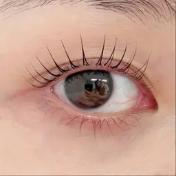 【まつ毛パーマ】パリジェンヌ/韓国ロッド多種/束感仕上げ