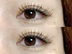 【12月限定】フラットラッシュ100本🩷💜(再来＋550円)