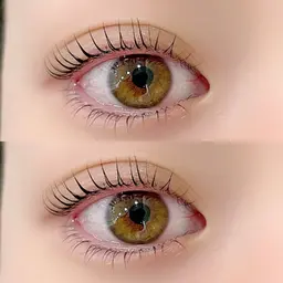 🎀12月限定🎀デザインラッシュリフト(まつ毛パーマ) orパリジェンヌ