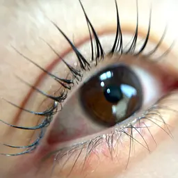 【4STEP CARE】＋ブラックティント×ラッシュリフトorパリジェンヌ【上】