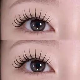 【人気】フラットラッシュ130本オフ無し