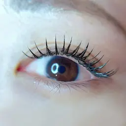 フラットラッシュ120​〜​160本🎀