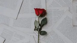 モニター限定🔶【レディース】ブラジリアンワックス(VIO)