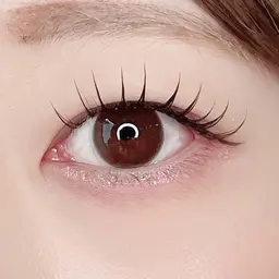 12/24限定LEDマツエク 80本まで🎀