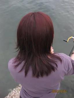 【限定】ワンカラー暖色トーンアップ🎒