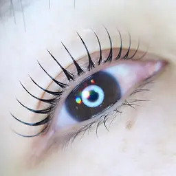 【ご新規様限定】ラッシュリフト(アイシャンプー、トリートメント付き)