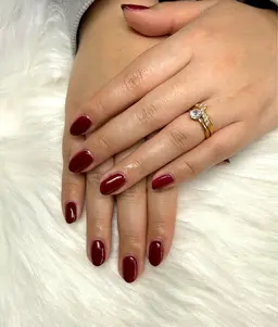 ワンカラー(マグネット・フラッシュ+100円/本)