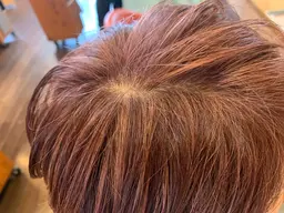 白髪ぼかしハイライト＋全体カラー