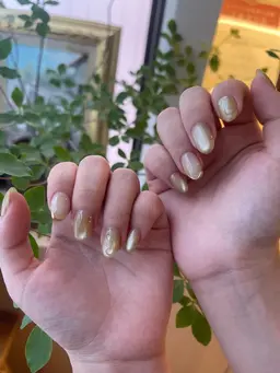 シンプルデザイン4本【オフなし】