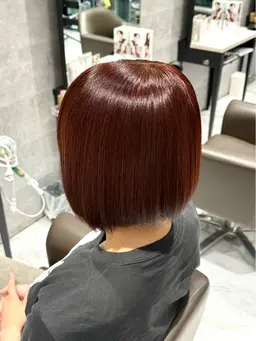 ベーシックカラー(土日祝料金)