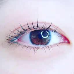 リセットパーマ付《上下ラッシュリフト/まつげパーマ》上下あてることで目力UP☆リピーター様¥6,160