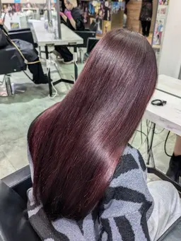 ワンカラー8000✨トリートトサービス🐩概念推し色ワンカラー♥️渋谷駅