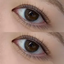 まつ毛パーマ【当日限定価格🎄♥️】