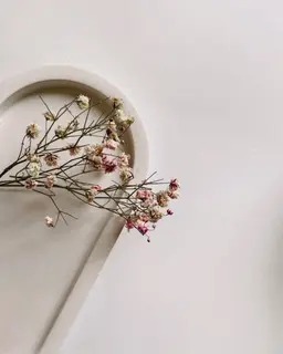 U24限定　クーポンセーブル100本4300円