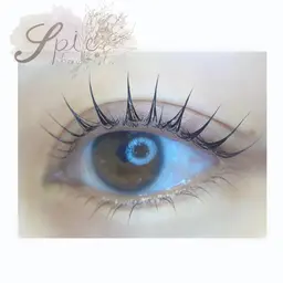 【本日限定価格】ケラチン補修☆束感まつげパーマ(上のみ)✨