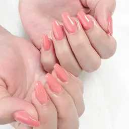 《⭐ﾐﾆﾓ限定⭐》特典付きワンカラー¥4500𓍯ｵﾌ込🥀