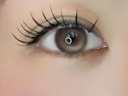 【1日1名限定】LEDフラットラッシュ80~100本(エクオフあり)