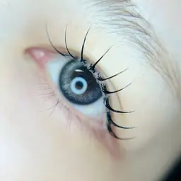 【通常グルー】フラットラッシュ90分つけ放題