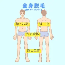 ★問合せNo.１★【全身（顔ヒゲ・VIOなし）】脱毛