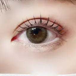 🦋パリジェンヌラッシュリフト🦋【コーティング込︎💕︎】