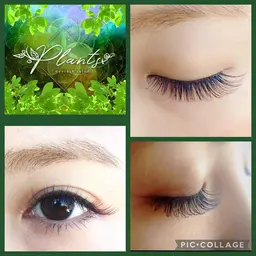 最軽量フラットラッシュ （オフなしの方）100本 （※初回の方はつけ放題メニュー有り）アイシャンプー付☆