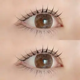 ラッシュリフト