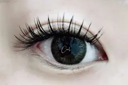 【本日・明日限定】緊急ゲリラクーポン！LED120本(オフなし) ￥4,980✨現金のみ