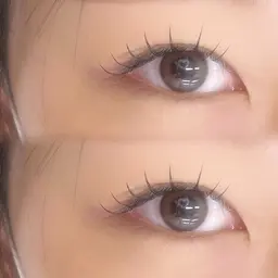 フラットラッシュ100本🐈‍⬛🍎