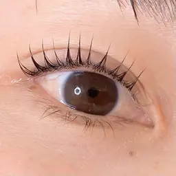 🌷12月限定🌷パリジェンヌラッシュリフト🌷