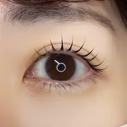 26日予約&来店限定🧡選べるまつげパーマ🧡（パリジェンヌ+550円）コーティング付き