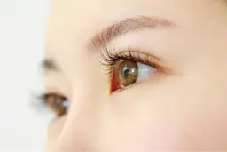 フラットラッシュ　100本