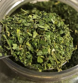 モリンガ&よもぎ蒸し🌿