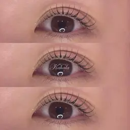 🦋‪まつ毛パーマ🦋‪＋コーティング剤仕上げ