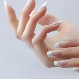 ワンカラー➕【フレンチor グラデーション】➕ケア《新規オフ無料》【新規】→¥8800 【リピート様】→¥9900