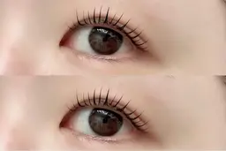 ラッシュリフト上下🎀【1/5(月)限定】経験者スタッフ新入社のため特別価格✨空席残り僅か（すぐ予約不可※要問合せ）