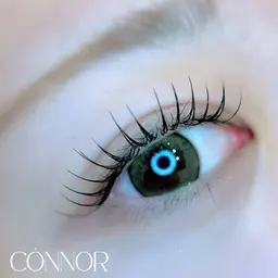 🌸フラットラッシュ120本🌸¥4500