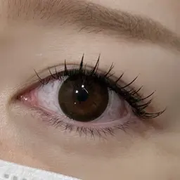 Wフラット40束(80本)