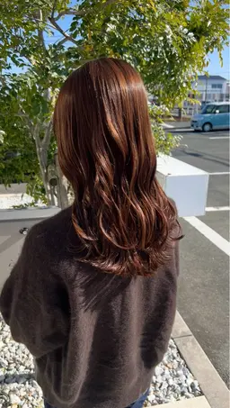 【ロング・ミディアム限定】カット＋集中トリートメント✨️