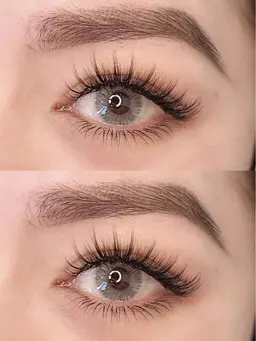 New【太陽花ボリュームラッシュ100束】