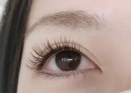 🌼移転記念！【フラットラッシュ120本】5800円！LEDコーティング付き/束感仕上げも◎条件クリアで5700円