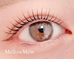 【まつげパーマ80種類orパリジェンヌラッシュリフト】束仕上げ