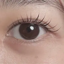 【次世代まつ毛パーマ】ラッシュリフト✨￥5500