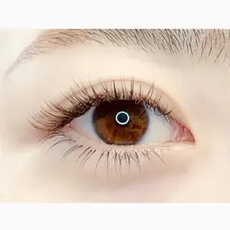 【ボリューム】フラットラッシュ120​〜​140本 オフ無料/カラー変更可能◎/コーティング付