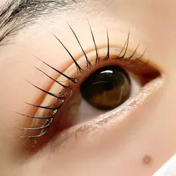 《モチ1.5～2倍最新技術🦋》LEDフラットラッシュ‎120本‎🤎オフ・コーティング込み