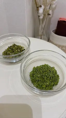 【ミニモ限定ご新規様🉐】モリンガ蒸し🔥21%OFF🤩最強発汗💦40分アフタードリンク、足湯付き💓 滝汗美肌🫧