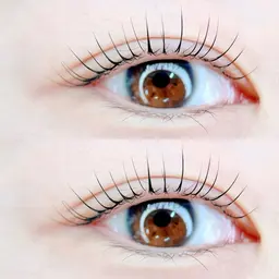 【当日予約限定】ラッシュリフト