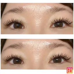 フラットラッシュつけ放題